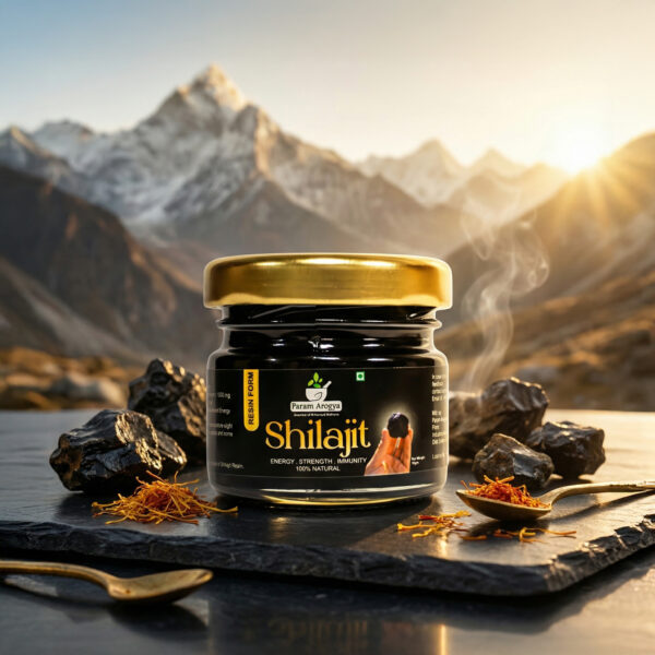 Param Arogya Pure Himalayan Shilajit (Resin)