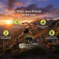 shilajit-image-2