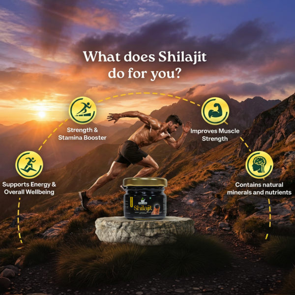 Second image of Param Arogya Pure Himalayan Shilajit (Resin)